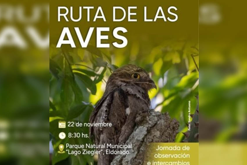 ELDORADO: Jornada de observación e intercambio de saberes sobre naturaleza y aves