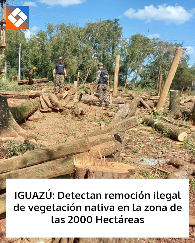 IGUAZÚ: Detectan remoción ilegal de vegetación nativa en la zona de las 2000 Hectáreas