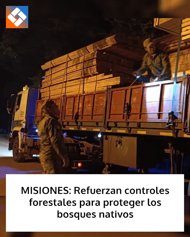 MISIONES: Refuerzan controles forestales para proteger los bosques nativos