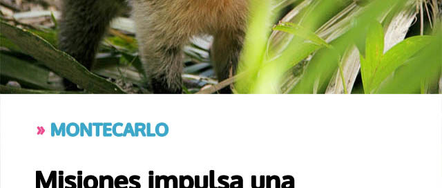 Misiones impulsa una actualización clave para el resguardo de la fauna silvestre