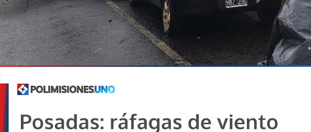 Posadas: ráfagas de viento provocaron caída de árboles, cables y daños materiales